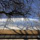 Illustration for article titled Pics from the Curbside: 2018-02-12 to The Boulevards